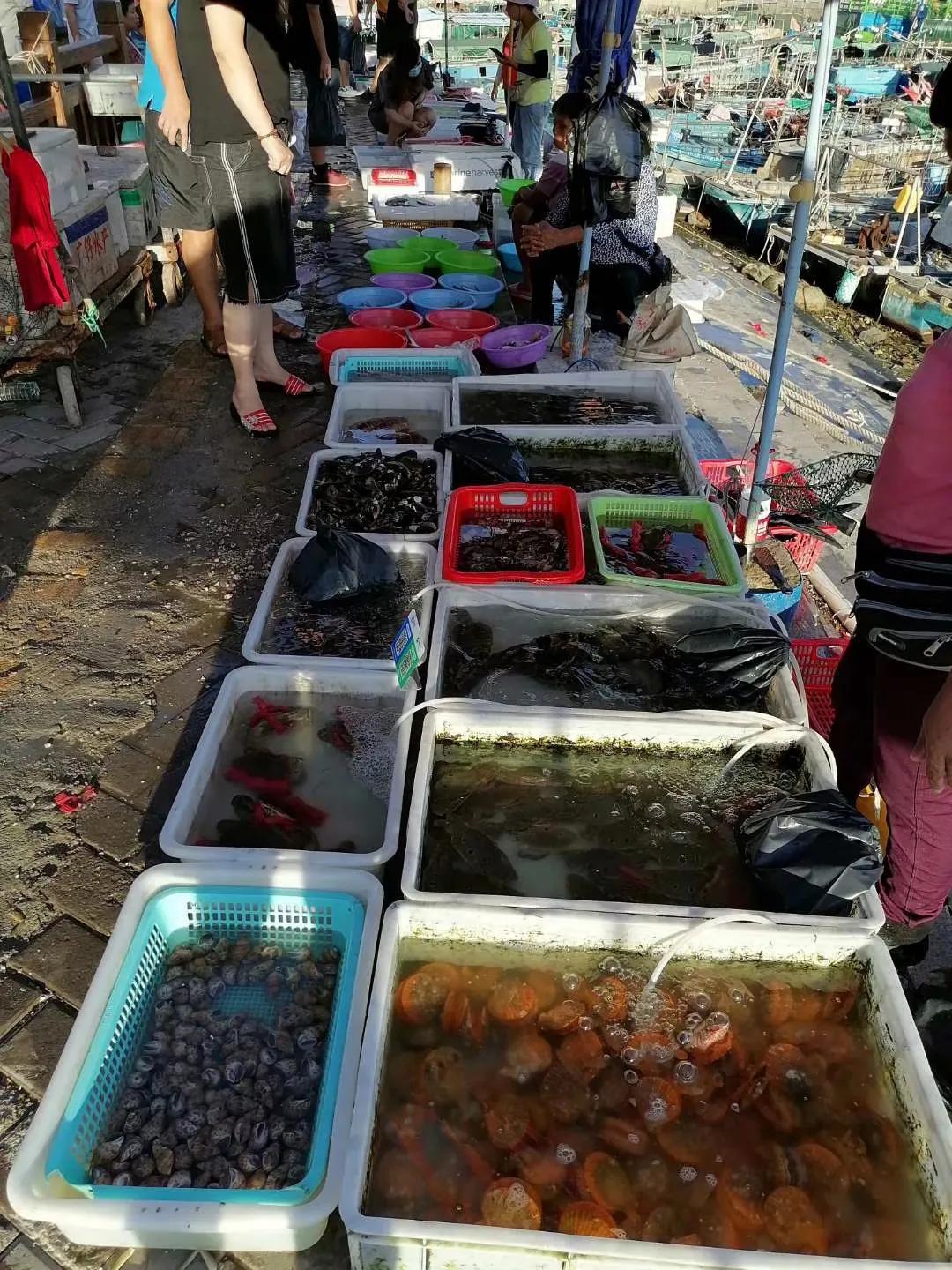 深圳海鲜批发市场(深圳哪里有批发买生蚝)