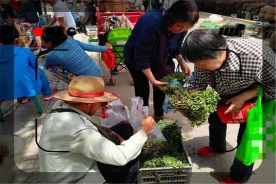 一个52岁的农村人，没有经商经验，在城市能做点什么小生意？