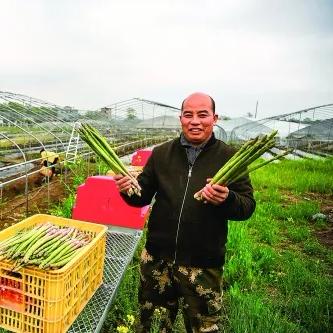 桂林全州芦笋相关长尾关键词有哪些