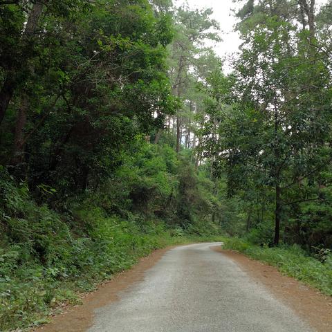 桂林市哪里有生态板