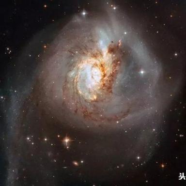 杭州线下买蛇的相关长尾关键词有哪些