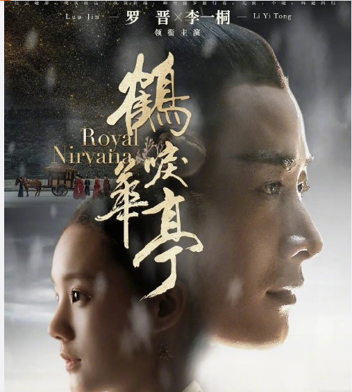 爱奇艺大剧定义是什么