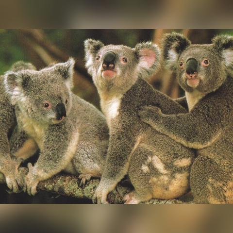 江苏救援武汉的长尾关键词有哪些