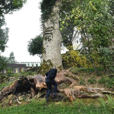 上海成都重庆面积哪个大