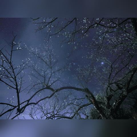 广州市什么时候下雪