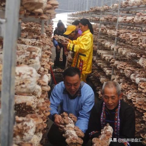 桂林市桂广滑石怎么样