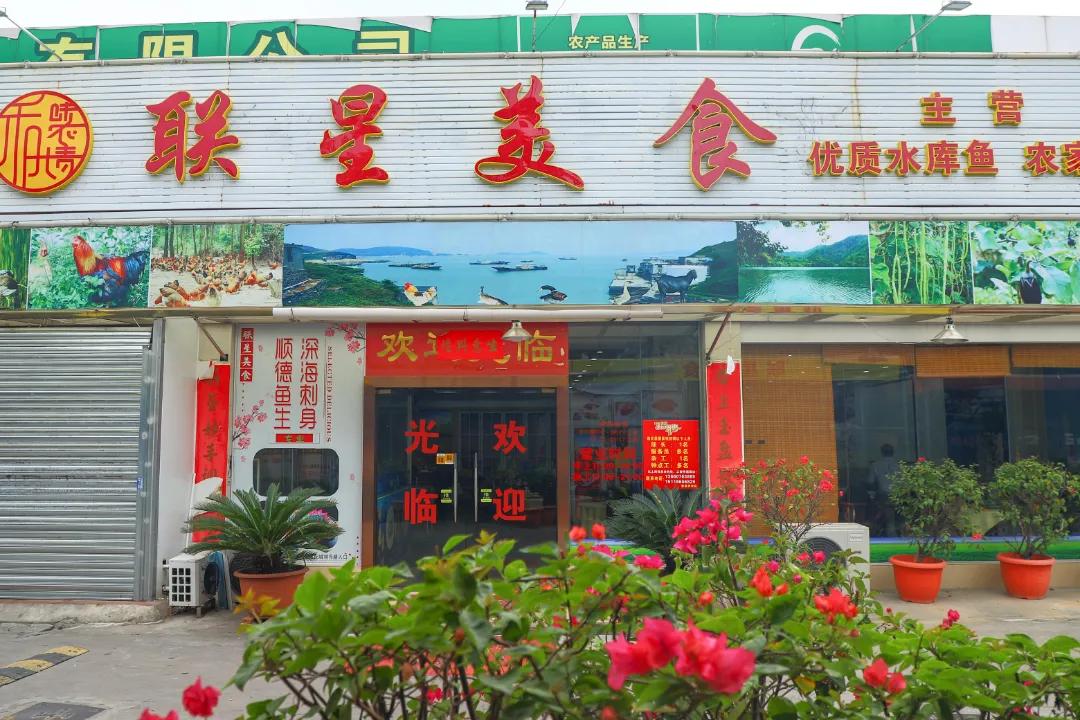 南海羊宝宝起名怎么取(陆丰甲子文化习俗)
