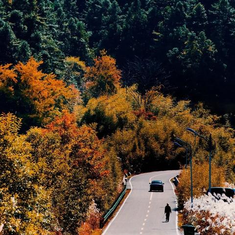 山东安徽高考难度？