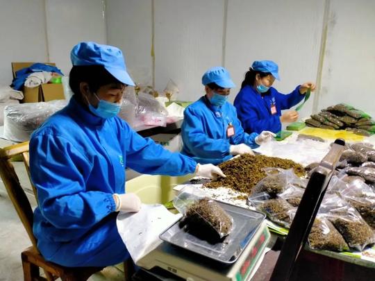 「十堰」6万多滞留在家的竹山务工人员，哪儿去了？