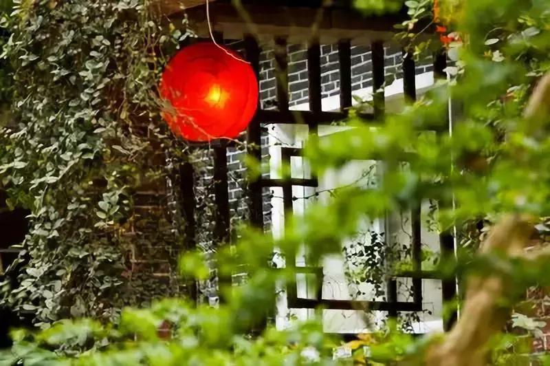 男宝宝起名姓卢怎么起名(你觉得哪些NBA球员的名字像中国人的名字)