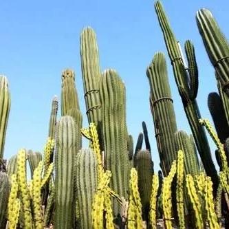 厦门亚马逊跨境职位的相关长尾关键词有哪些