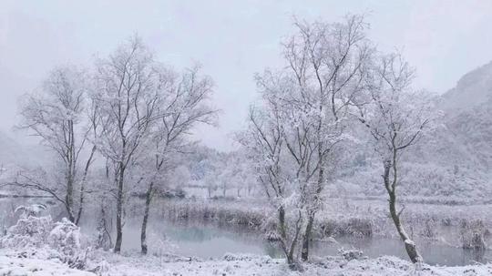 没有门票！无需登山！成都1天打来回的冷门耍雪地，终于被找到了