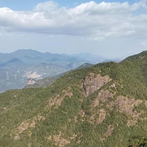 福建蘑菇哪个牌子好一点
