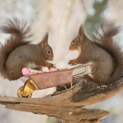 松鼠ai人工智能教育怎么样的相关长尾关键词有哪些