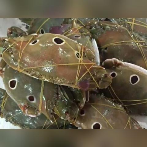 福建老肥吃海鲜的相关长尾关键词有哪些