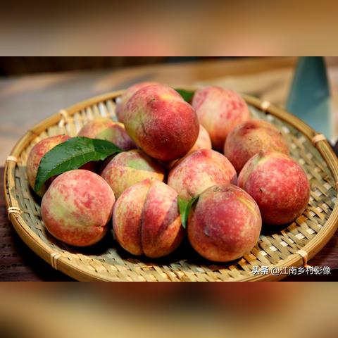 哈尔滨市洋专家怎么样