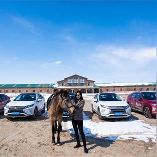 长春市本田思域二手车店的长尾关键词有什么