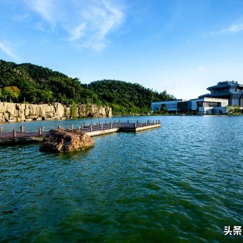 佛山市枫叶景区在哪里
