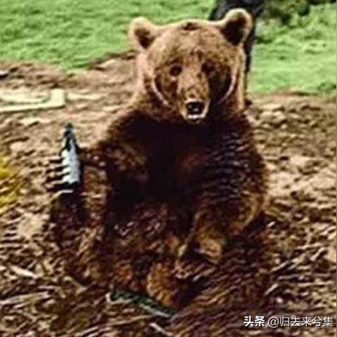 德国考足球教练工资多少