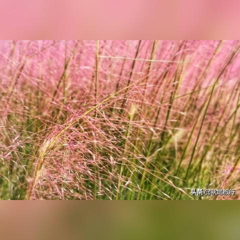 2025.11.16常熟今天空气质量指数怎么样