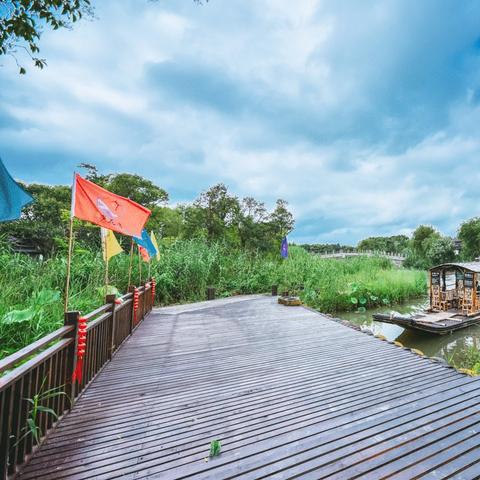 苏州市有个什么岛