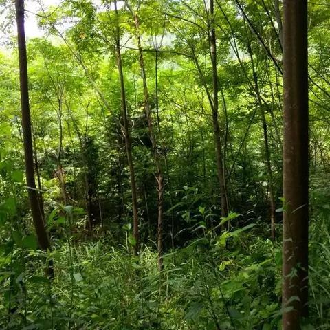 赣州市摩托车超速处罚的长尾关键词有什么