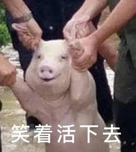 如果被洪水围困如何发出求救信号