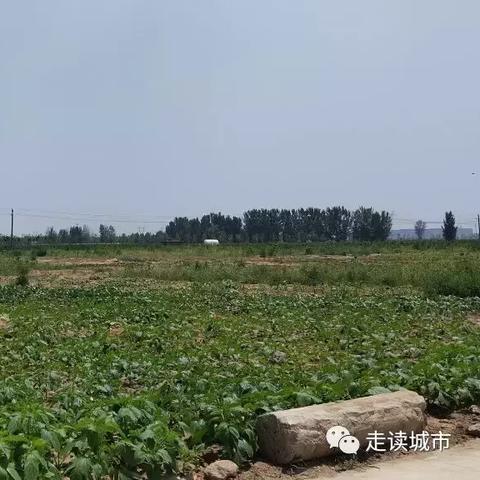 河南新村在哪个地区