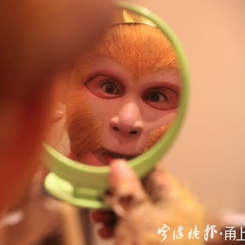 宁波市是怎么样的