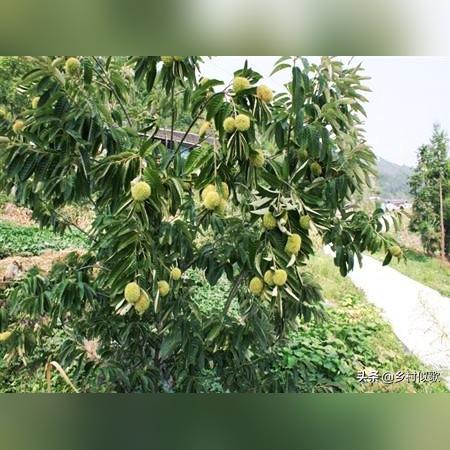 什么塑料耐煤油？