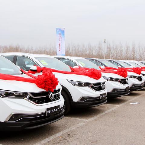 沈阳市体考训练营怎么样