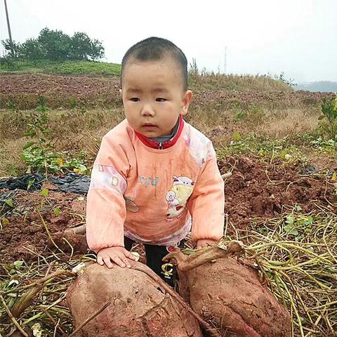 足球大小怎么