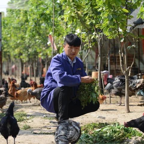 tiktok烤火鸡 衍生的长尾关键词有哪些 