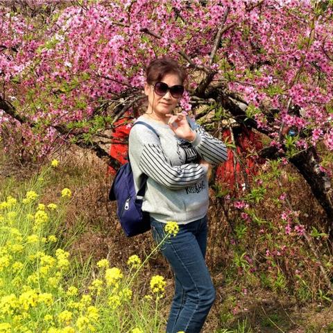 桂林市去哪里看桃花