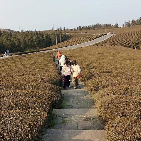 2025.11.25宁波今日气温变化情况