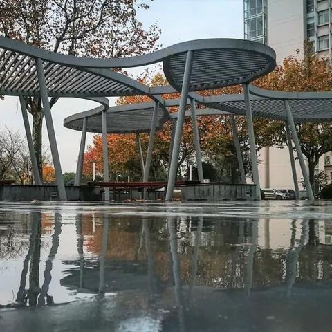 上海雨景餐厅有哪些