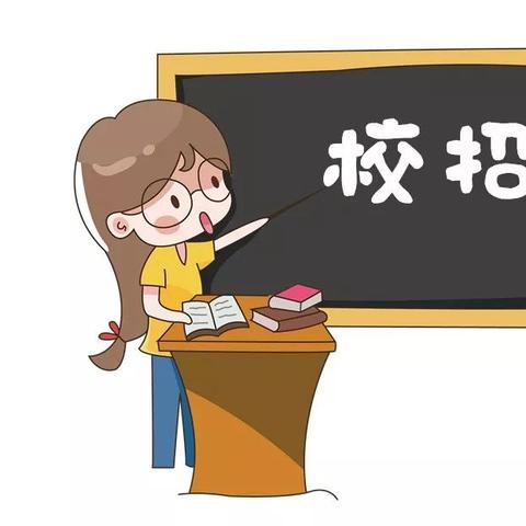 厦门市校招报录比多少