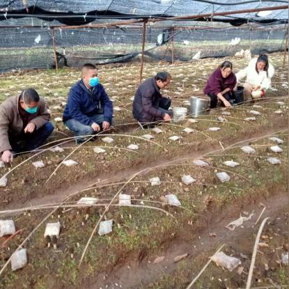 福建欧美达怎么样