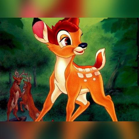 儿童动画故事(小孩动画片)