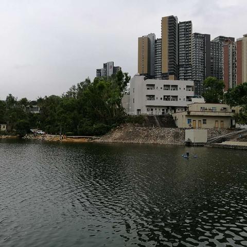 深圳市内河流能钓鱼吗？