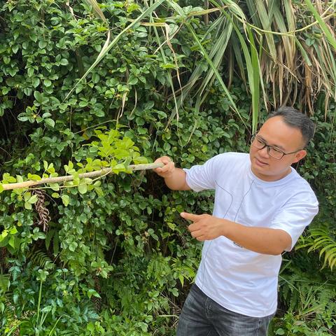 福建家乡菜的相关长尾关键词有哪些