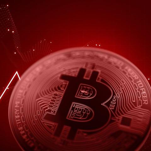 doge狗(doge狗狗币)