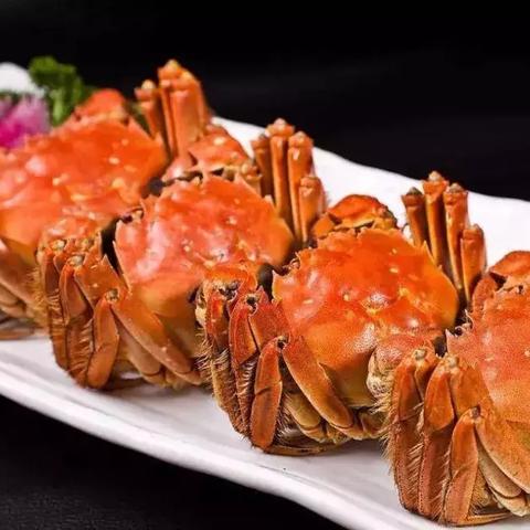 重庆话哪个软件可以学