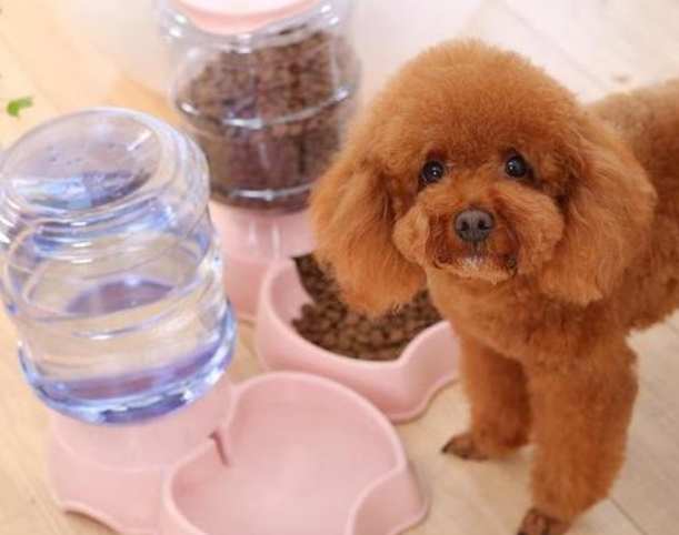 孩子磨牙多影响智力吗