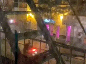 开盆景店利润高吗 开文具店利润高吗