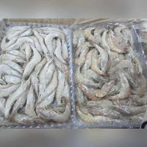 桂林冷冻肉相关长尾关键词有哪些