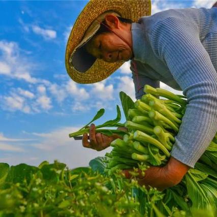 连州天气微的长尾关键词有哪些