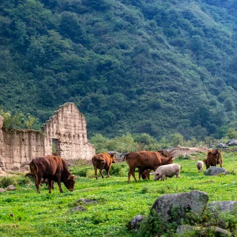 从汉中到西安最晚班车是几点？