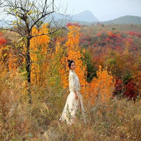 一河南人疫情的相关长尾关键词有哪些