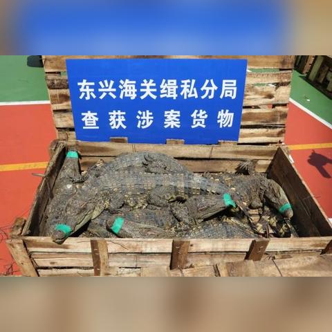 南宁市哪个区域挨封住了
